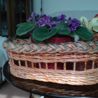 obal na kvetináč width=200 height=200