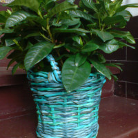 obal na kvetináč width=200 height=200