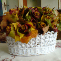 ruže  z javora width=200 height=200