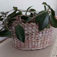 patina width=200 height=200